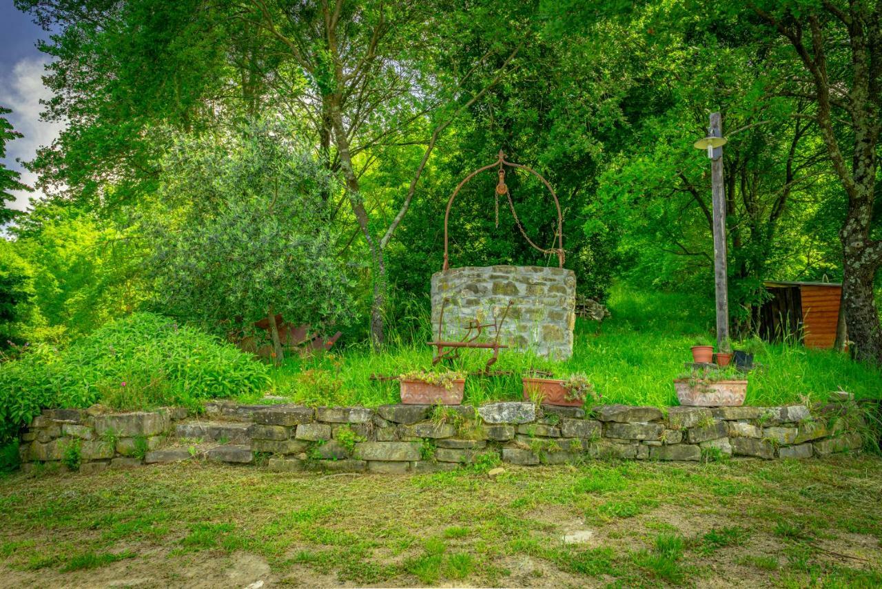 Casa Al Bosco Guest House SantʼEllero Exterior foto